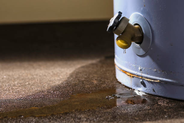 Best Residential water damage restoration  in Jacobus, PA