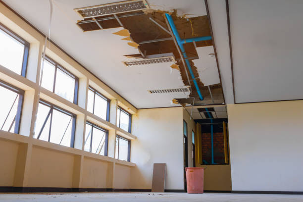 Best Local water damage restoration  in Jacobus, PA