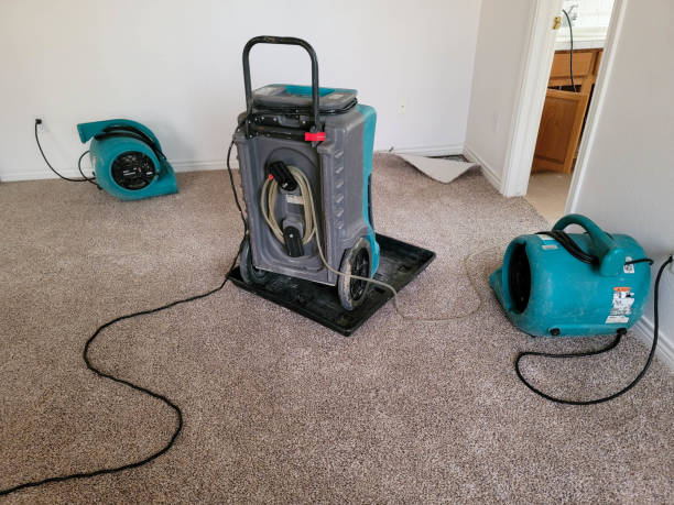 Best Water damage contractors near me  in Jacobus, PA