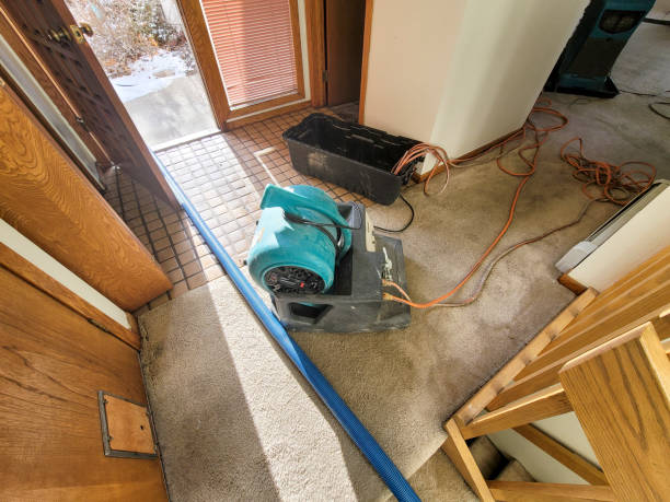 Best Water damage restoration insurance claims  in Jacobus, PA