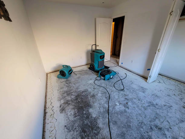 Best Water damage restoration cost  in Jacobus, PA