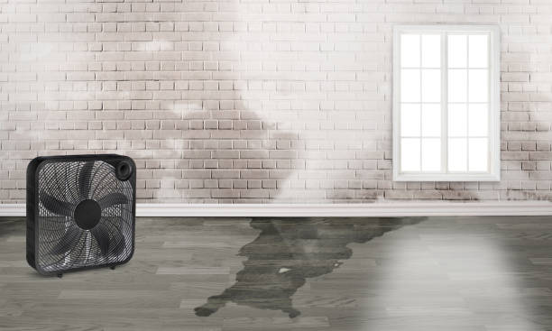 Best 24-hour water damage restoration  in Jacobus, PA