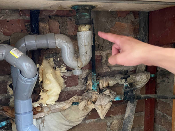 Best Flood restoration services  in Jacobus, PA