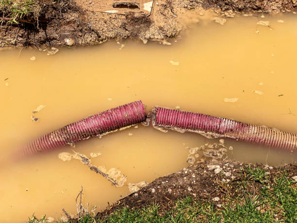 Best Basement water damage restoration  in Jacobus, PA