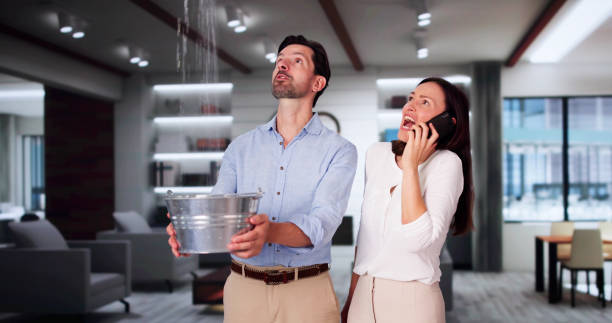 Best Flood damage cleanup  in Jacobus, PA